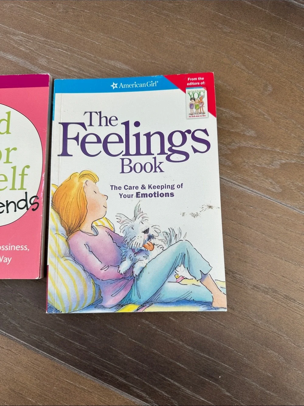American Girl books